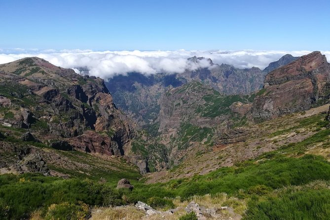 Achadas Teixeira- Pico Ruivo -& Pico pedras/Queimadas forest walk - Guides who make the difference: safety, nature talk, and smart stop points