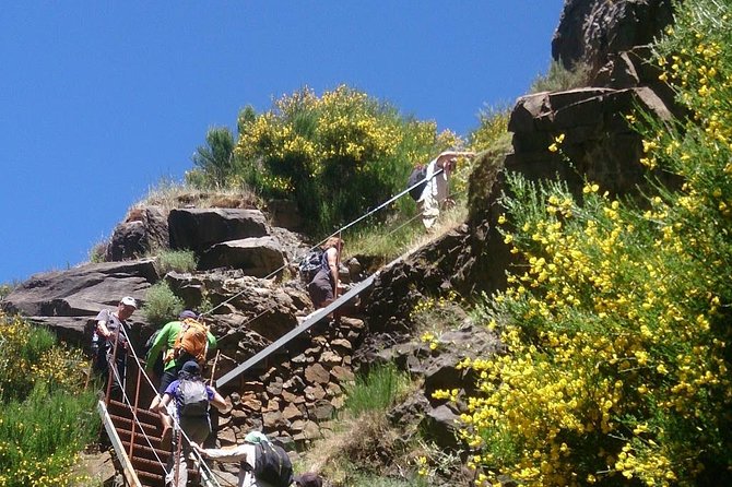 Achadas Teixeira- Pico Ruivo -& Pico pedras/Queimadas forest walk - How the end works: you do not have to slog down the whole way