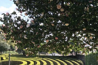 Admission Ticket to Casa São Roque Art Center - Price and Value: Is $12.07 Worth It?
