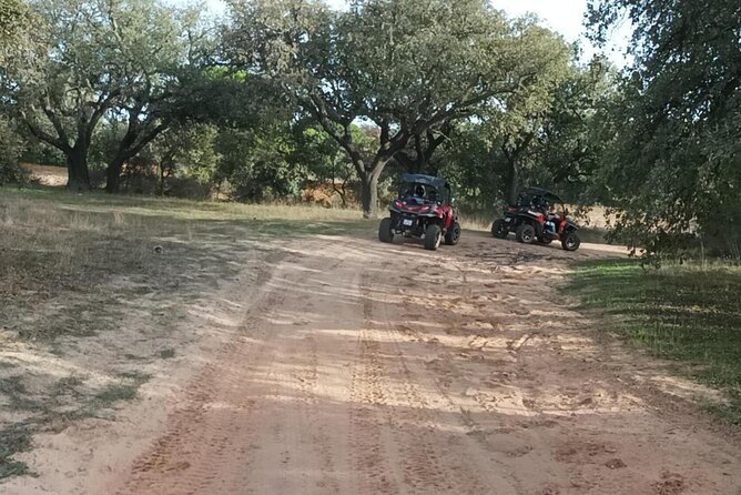 Albufeira 1.5 hour Off-Road Tour Buggy Adventure Tour - Castle of Paderne Stop: 20 Minutes of 360º Views