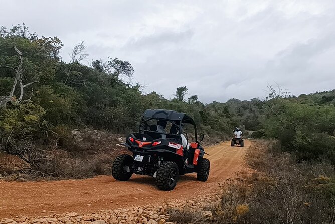 Albufeira 1.5 hour Off-Road Tour Buggy Adventure Tour - What’s Included (and Why It Matters for Value)