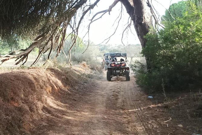 Albufeira 1.5 hour Off-Road Tour Buggy Adventure Tour - Practical Tips: Dust, Clothes, and Your Driver’s Licence