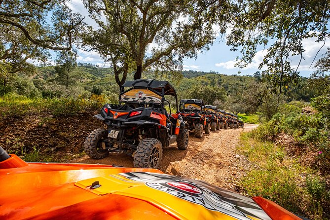 Albufeira: 1.5h Off-Road Buggy Tour - Dirt & Scenic Trails - Trail Highlights: Rolling Hills, Forest Paths, and Valley Views