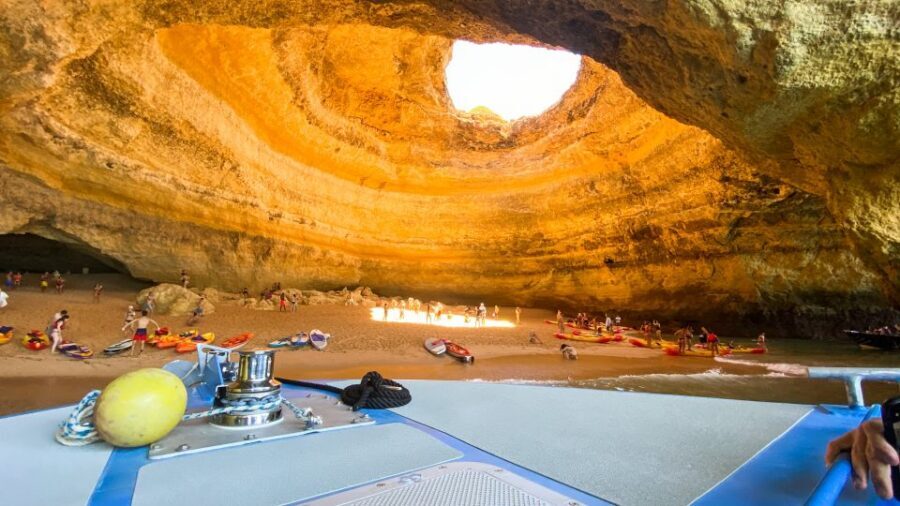 Albufeira: 2.5-Hour Dolphin Watching and Caves Trip - Price and Value: Is $41 Worth 2.5 Hours of Caves and Dolphins?