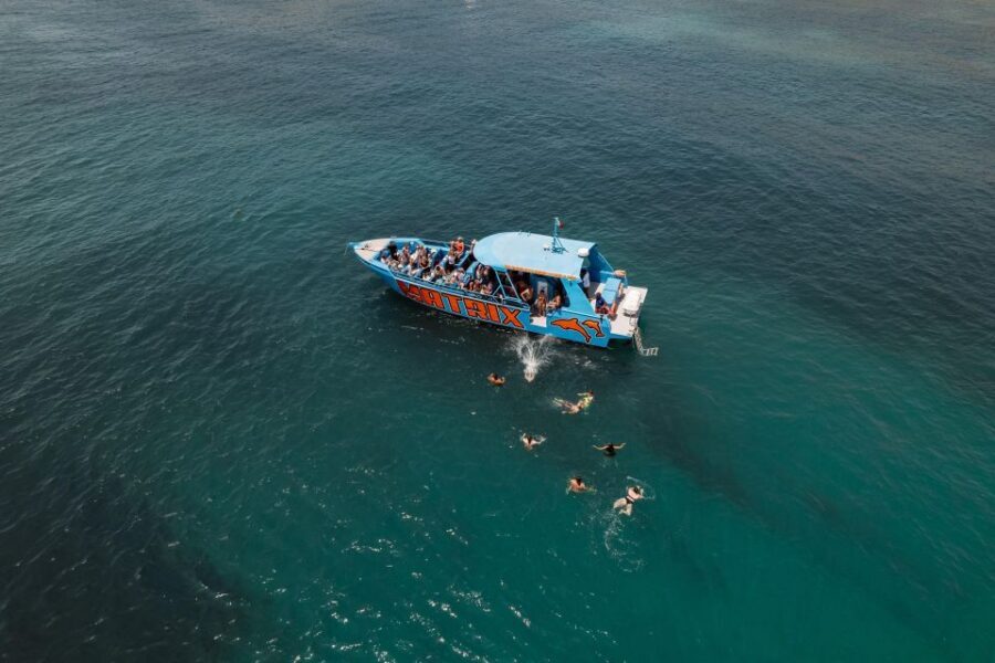 Albufeira: 2.5-Hour Dolphin Watching and Caves Trip - Swimming in the Atlantic: The One Part That Depends on Weather