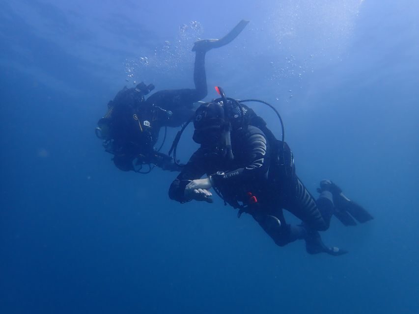 Albufeira: 2 DIVES TRIP (ONLY CERTIFIED DIVERS) - Key highlights to know before you go
