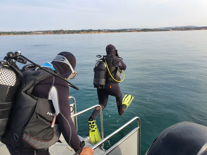 Albufeira: 2 DIVES TRIP (ONLY CERTIFIED DIVERS) - Albufeira’s reef routine: why this 4-hour format works