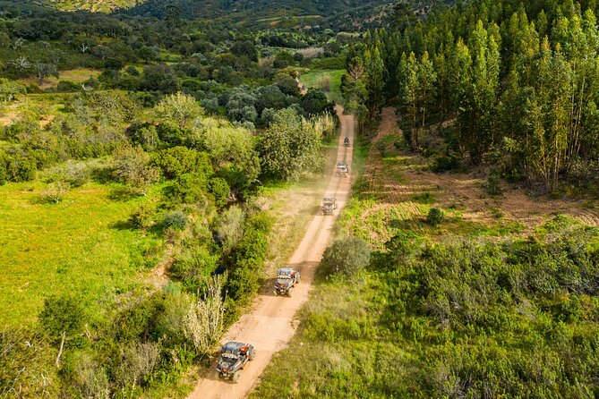 Albufeira: 3-Hour Off-Road Buggy Tour to Hidden Algarve Trails - Price and Logistics: Is $217.77 Good Value?
