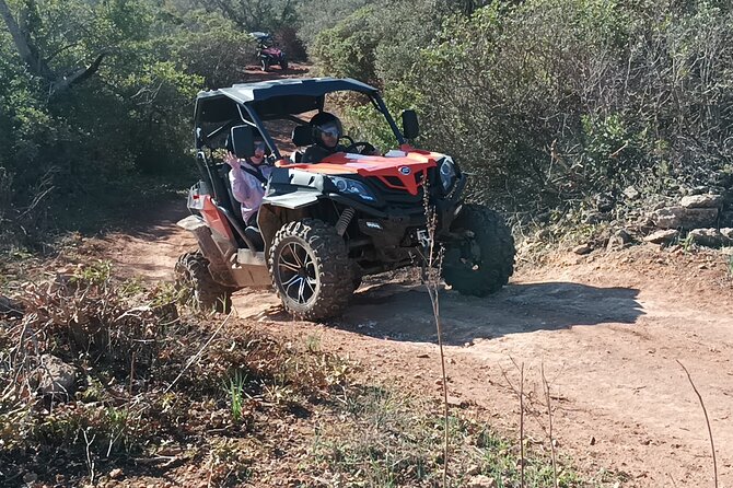 Albufeira 3 hour Off-Road Tour Buggy Adventure Tour - Paderne Goji Farm Stop: Herbs, Spices, Animals, and a Breather