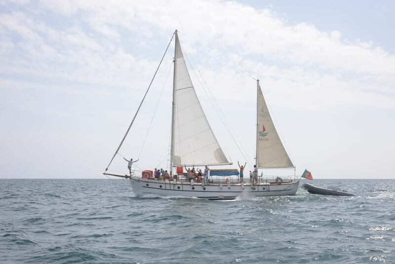 Albufeira: 6-Hour Boat Tour with BBQ and Drinks - A 6-Hour Albufeira Cruise That’s Built Around Views and Food