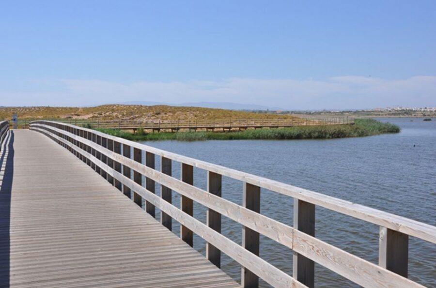 Albufeira: Beaches, Old Town, and Salgados Lagoon Jeep Tour - Praia da Galé West: Break Time and Free Time by the Sea