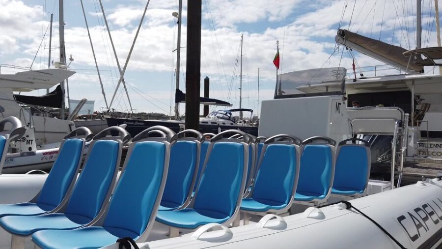 Albufeira: Benagil Cave and Dolphin Sightseeing Boat Cruise - Dolphin spotting at sea: exciting, guided, and never guaranteed