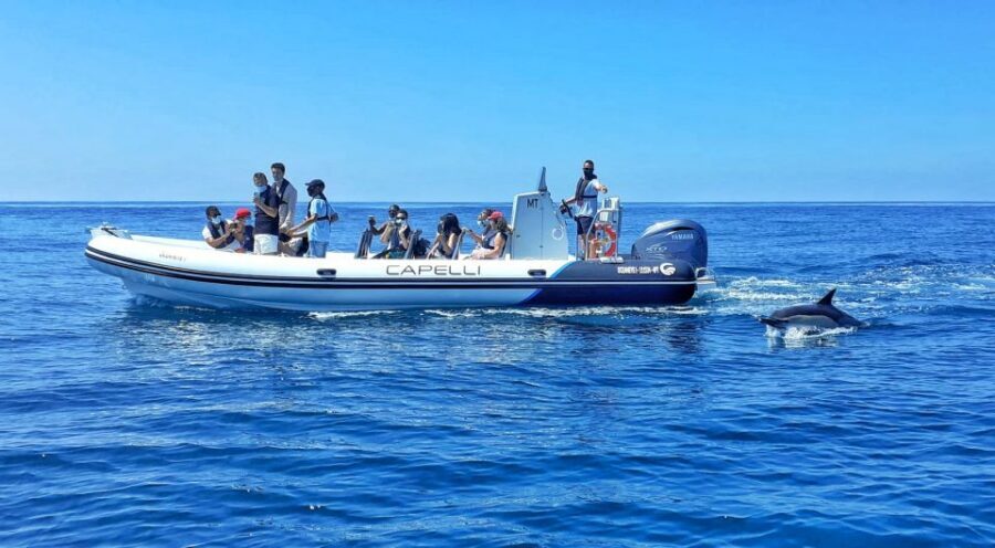 Albufeira: Benagil Cave and Dolphin Sightseeing Boat Cruise - São Rafael to Senhora da Rocha: beach stops that aren’t just pretty