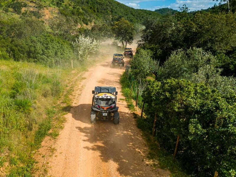 Albufeira: Buggy Adventure through the Algarve Hidden Gems - Who Should Book This Albufeira Buggy Adventure