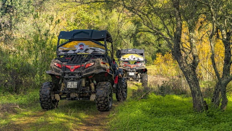 Albufeira: Buggy Adventure through the Algarve Hidden Gems - Price and Value: What $206 Gets You for 3 Hours