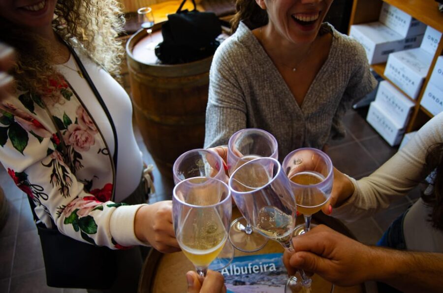 Albufeira: City Highlights & WINE TASTING - Who This Tour Is Best For (and Who Might Want to Skip)