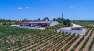 Albufeira Coast Tour, Winery & Delicious Chicken lunch - Pickup, Van Ride, and the Best Kind of Photo Stops