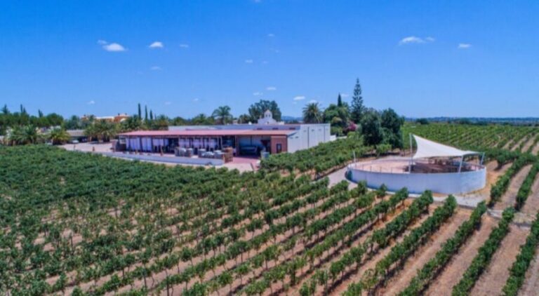 Albufeira Coast Tour, Winery & Delicious Chicken lunch - Pickup, Van Ride, and the Best Kind of Photo Stops