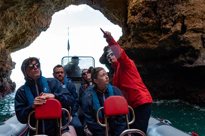 Albufeira: Dolphins and Caves Private Tour - A private boat around Albufeira feels less chaotic