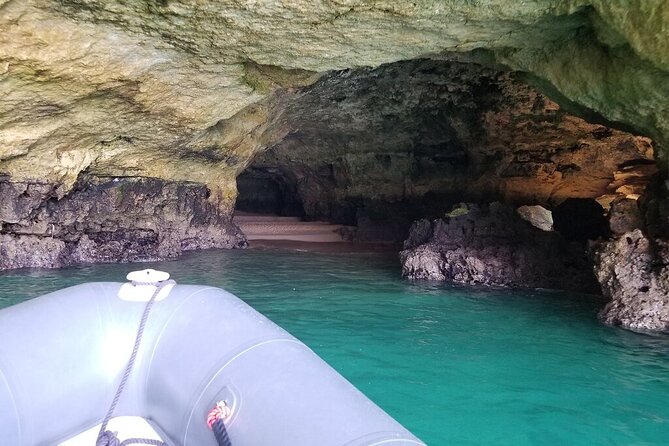 Albufeira: Dolphins and Caves Tour - Price and value: about $36.28 for a lot of motion