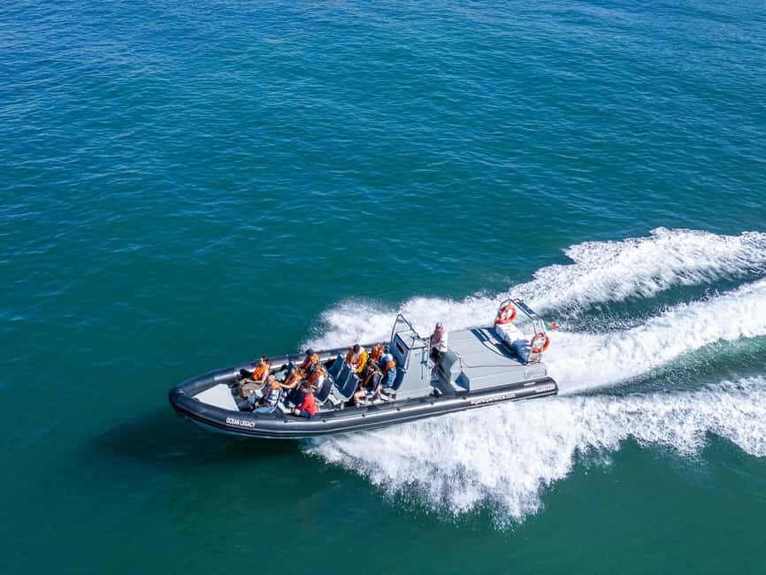 Albufeira: Dolphins & Benagil Caves RIB Tour - Dolphin watching with a marine biologist: how you actually spot them