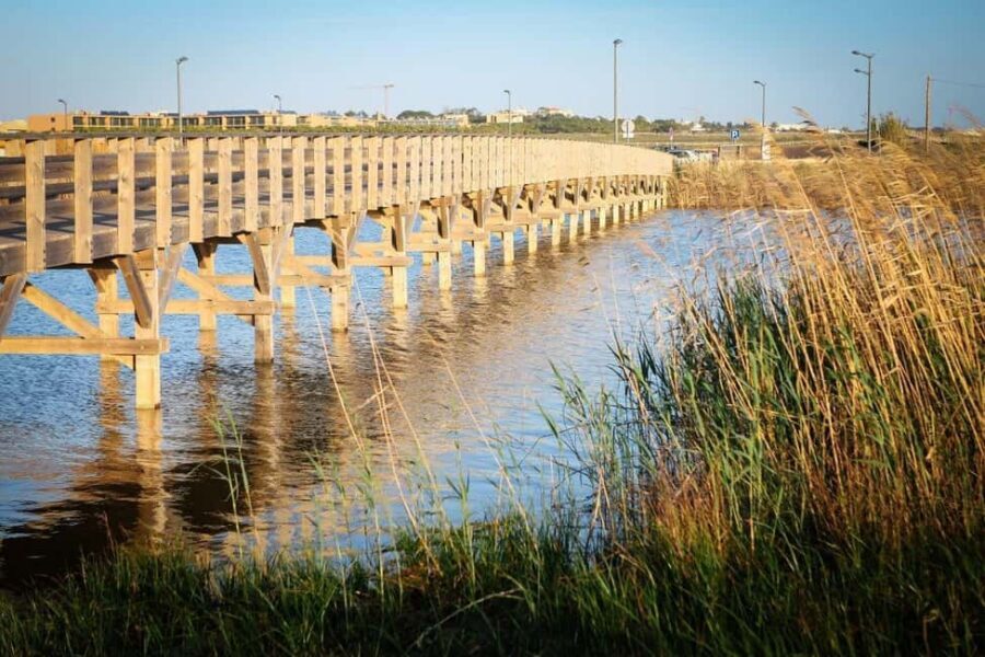 Albufeira: E-Bike tour of Nature Trails and Tradition - Lagoa dos Salgados: where the ride turns into a nature stop
