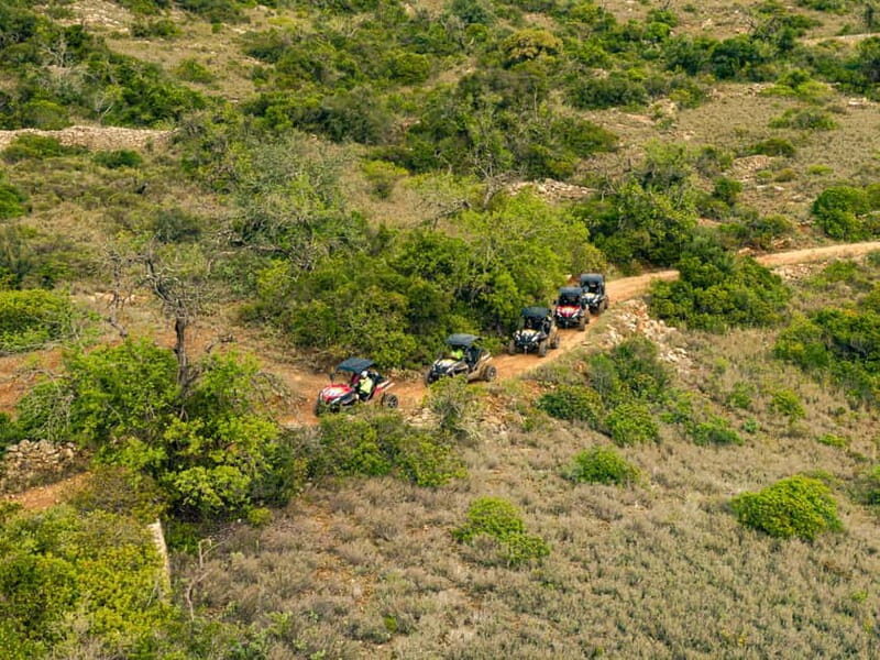 Albufeira: Full-Day Buggy Tour with Lunch - Quinta do Freixo lunch: organic farm, jam tasting, and real food