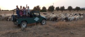 Albufeira: Jeep Safari Half-Day Countryside Tour - Price and value: what $47 actually covers (and what to bring)