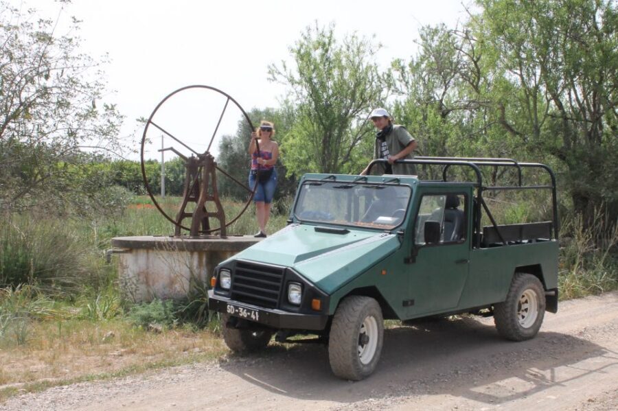 Albufeira: Jeep Safari Half-Day Countryside Tour - Biological farm tasting: jams, teas, and medronho brandy