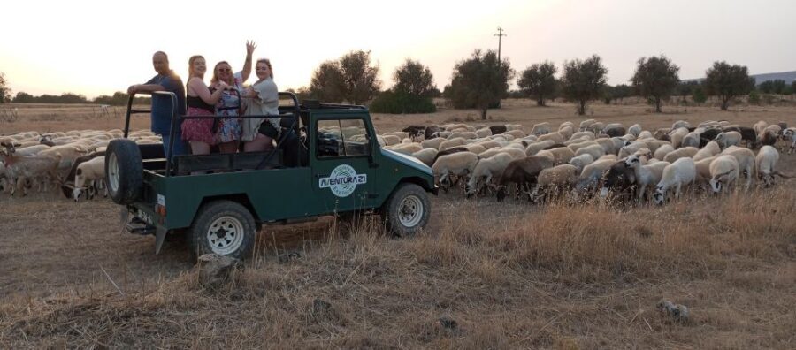 Albufeira: Jeep Safari Half-Day Countryside Tour - Price and value: what $47 actually covers (and what to bring)