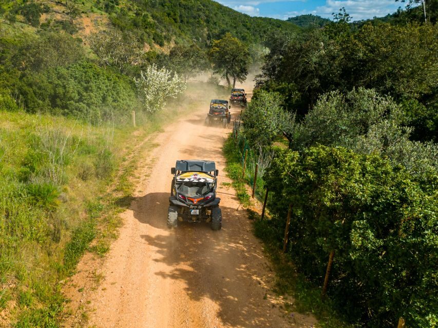 Albufeira: Off-Road Buggy Adventure - Who should book this buggy adventure in Albufeira