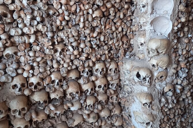 Albufeira Safari w/ Krazy World Visit, Bones & Animals - Small-group safari style: max 7, your pace, less rushing