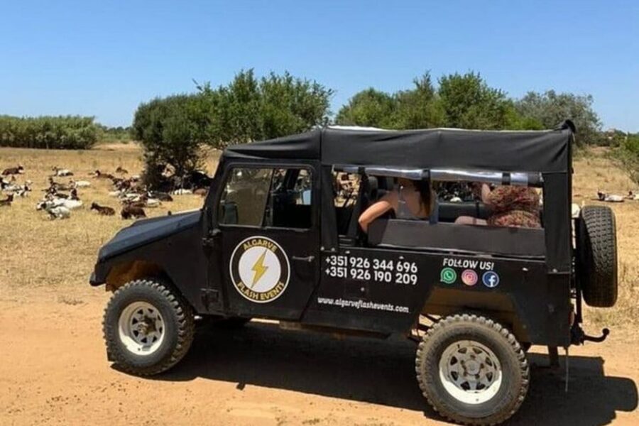 Albufeira Safari with entrance in Krazy World & Bone Chapel - Krazy World: A Full 2 Hours of Animals, Mini-Golf, and Pools