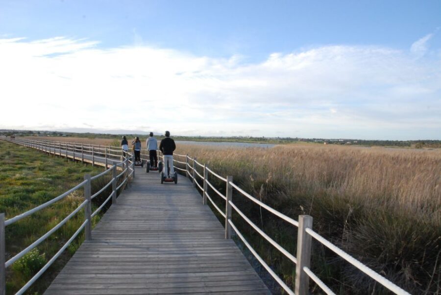 Albufeira: Salgados Nature Reserve Segway Tour - Wildlife spotting that actually has a reason behind it