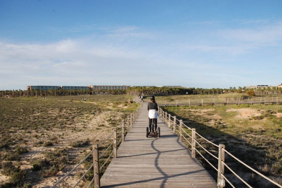 Albufeira: Salgados Nature Reserve Segway Tour - Small extras you might notice: season fruit moments and tree clues