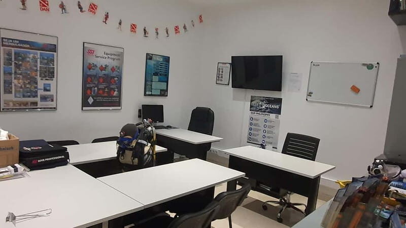 Albufeira: Scuba Diving Experience for Beginners - What to Expect Underwater: Realistic, Not Magical Promises