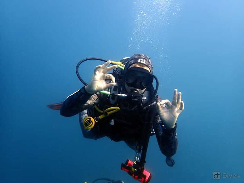 Albufeira: Scuba Diving Experience for Beginners - Who This Is Best For (and Who Should Skip It)