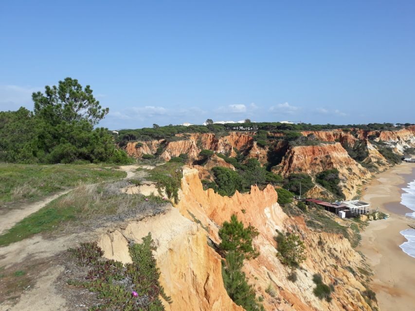 Albufeira: Tuk-tuk Sightseeing Tour - Aldeia das Acoteias, Tomatos Beach, and the Vilamoura Edge