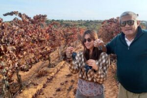 Albufeira/Vilamoura: Winery Tour with Wine Tasting and Tapas - Getting Picked Up in Albufeira or Vilamoura (and What That Means)