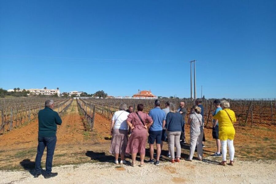 Albufeira/Vilamoura: Winery Tour with Wine Tasting and Tapas - The Sweet Finish: Pastel de Nata and Almond Liqueur/Firewater