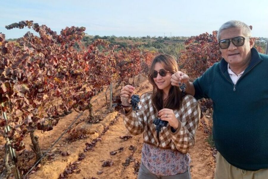 Albufeira/Vilamoura: Winery Tour with Wine Tasting and Tapas - Getting Picked Up in Albufeira or Vilamoura (and What That Means)