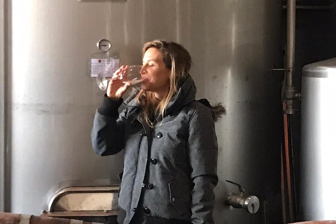 Albufeira Wine Tasting: Boutique Winery Tour & Historic Silves - Price and logistics: what $78.64 buys you, and how to make it worth it