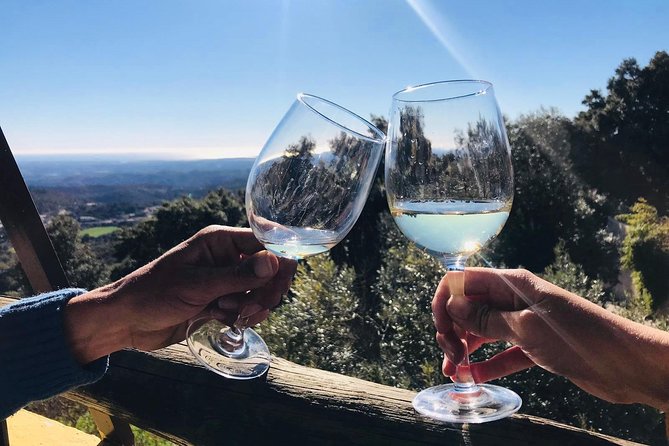 Albufeira Wine Tour: 2 Vineyards, 6 Tastings & Historic Silves - Quinta do Francês: family-run Algarve wine, with a guide through the process