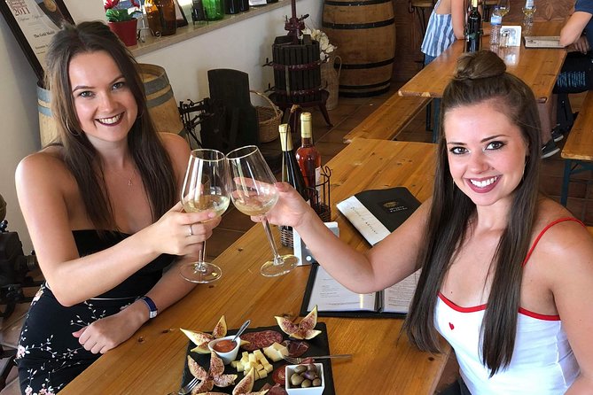 Albufeira Wine Tour: 2 Vineyards, 6 Tastings & Historic Silves - What the guides do right (and why it makes the day better)