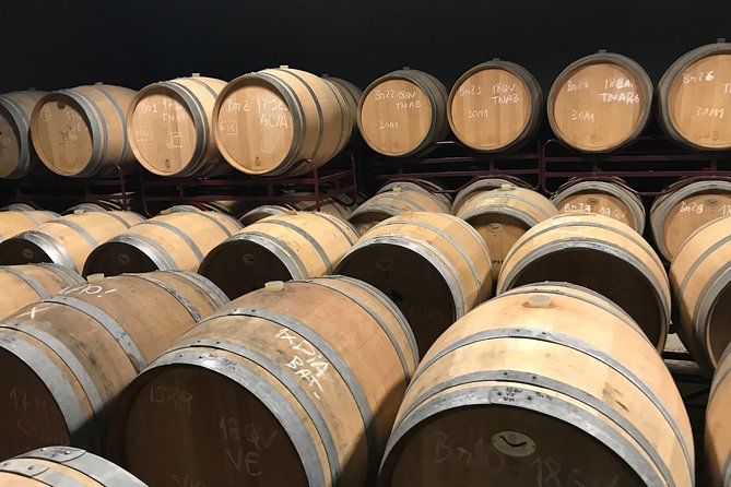 Albufeira Wine Tour: 2 Vineyards, 6 Tastings & Historic Silves - Duration, timing, and how to pace yourself