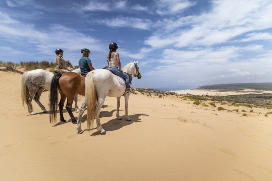 Algarve: 1-Hour Carrapateira Horseback Riding Tour - The Horse-Prep Part That Makes This Feel Legit