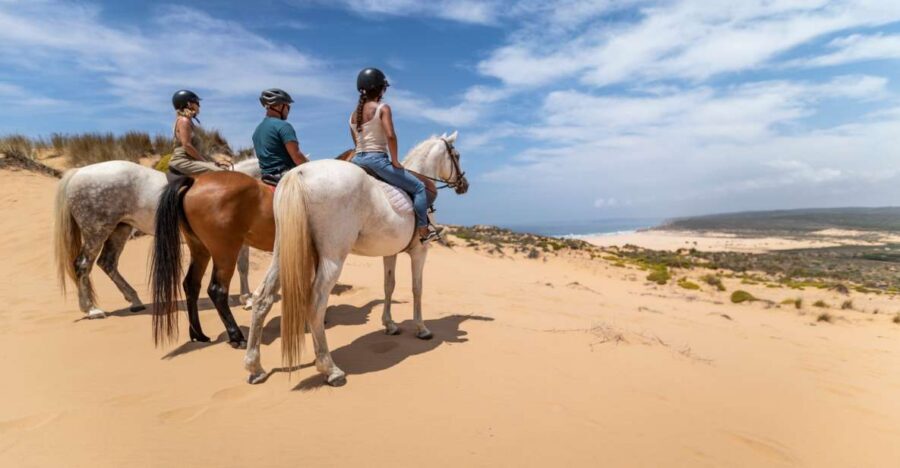 Algarve: 1-Hour Carrapateira Horseback Riding Tour - Getting There and Making the Most of the 15-Minute Briefing