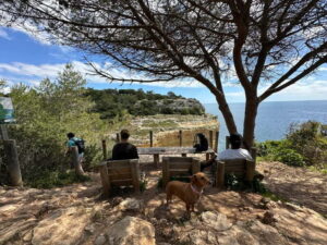 Algarve: 7 Seven Hanging Valley Hike Tour- Photos & Transfer - Seven Hanging Valleys Trail: why this route is worth 3 hours