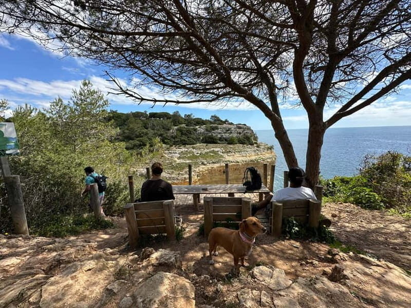 Algarve: 7 Seven Hanging Valley Hike Tour- Photos & Transfer - Seven Hanging Valleys Trail: why this route is worth 3 hours