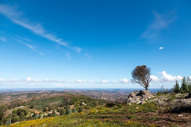 Algarve a la Carte - Pickup and timing: how to not lose half your morning